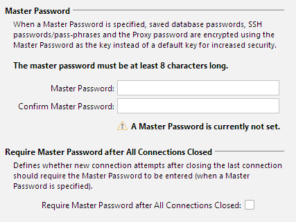 Setting up Master Password in DbVisualizer