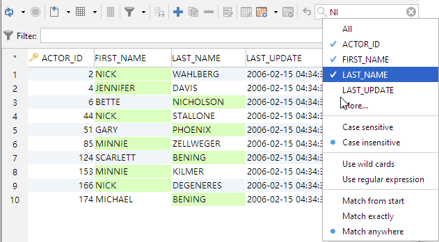 Quick filter setting in DbVisualizer software