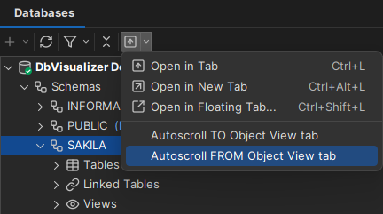 DbVisualizer AutoScroll Setup