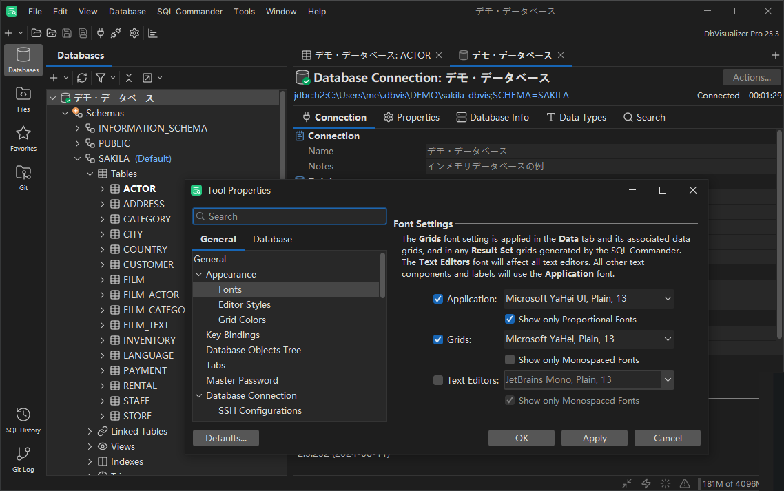Example of font settings in DbVisualizer programming interface using Chinese