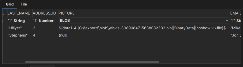 Screenshot of Importing Blob Data in DbVisualizer