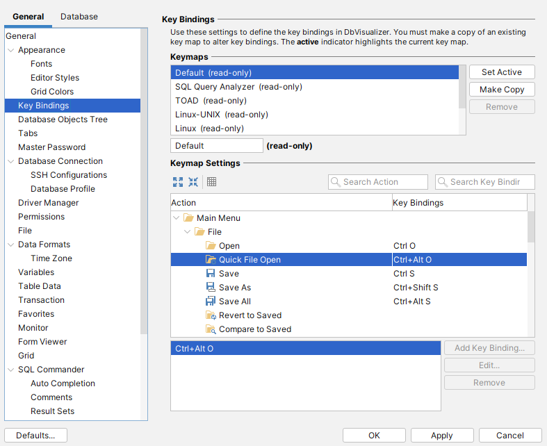 Screenshot showing DBVisualizer key bindings interface