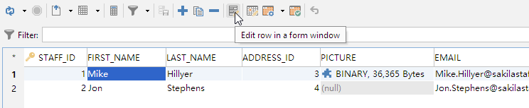 Form Editor in DbVisualizer