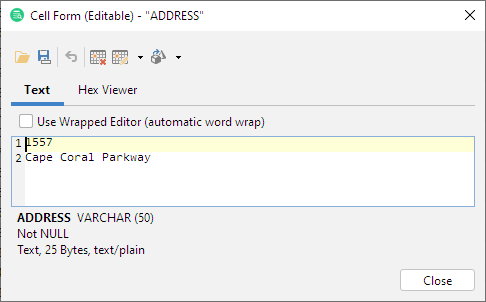 The Text Editor in DbVisualizer