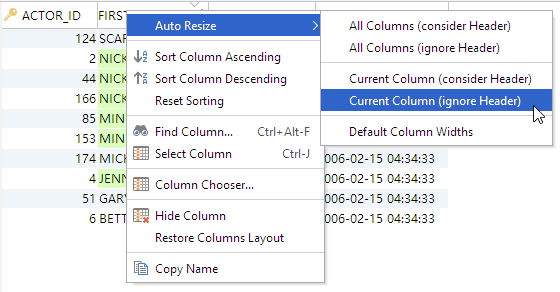 Showing how to auto resize columns in DbVisualizer