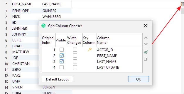The Grid Column Chooser with a custom layout in DbVisualizer