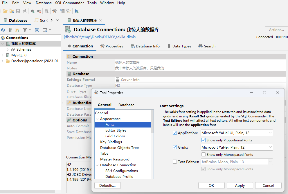 Screenshot showing the font settings in DbVisualizer.