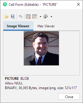 Image viewer interface displaying supported image types in DbVisualizer