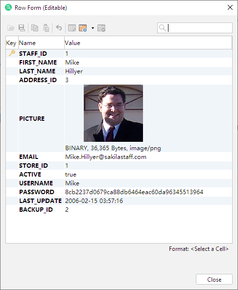 Row form window interface in DbVisualizer