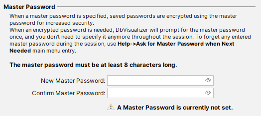 Master Password setup in DbVisualizer