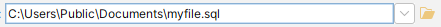 Screenshot of the file chooser field in DbVisualizer