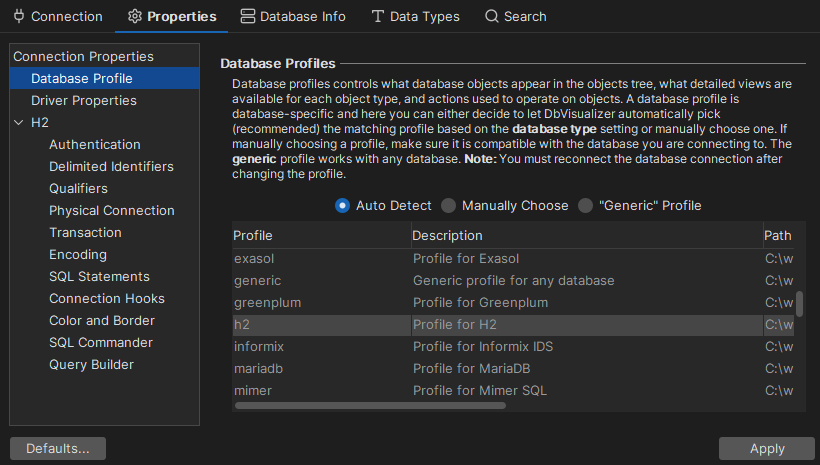 Database Profile in DbVisualizer interface