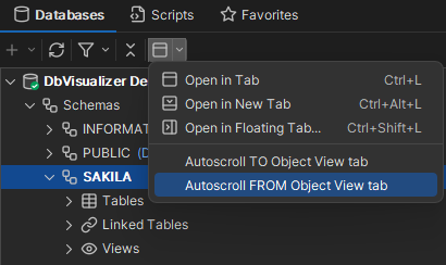 DbVisualizer AutoScroll Setup