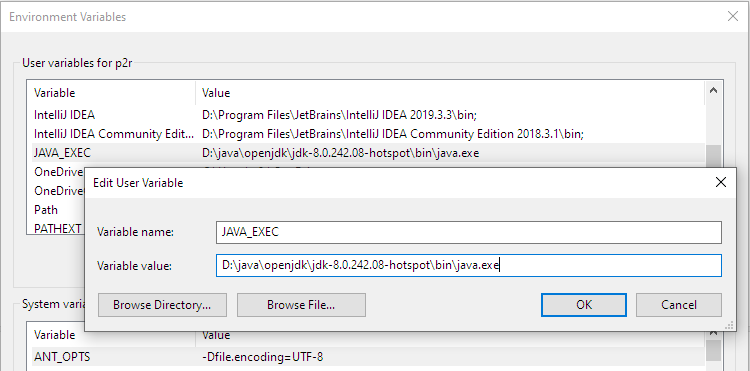 Screenshot of Environment Variables setup in Windows Control Panel