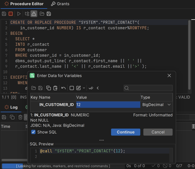 Screenshot of the Execute button in the Code Editor