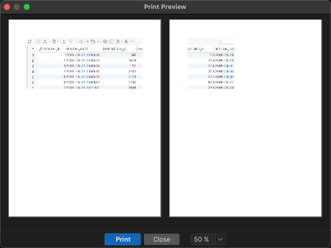 Preview of printing grid in DbVisualizer