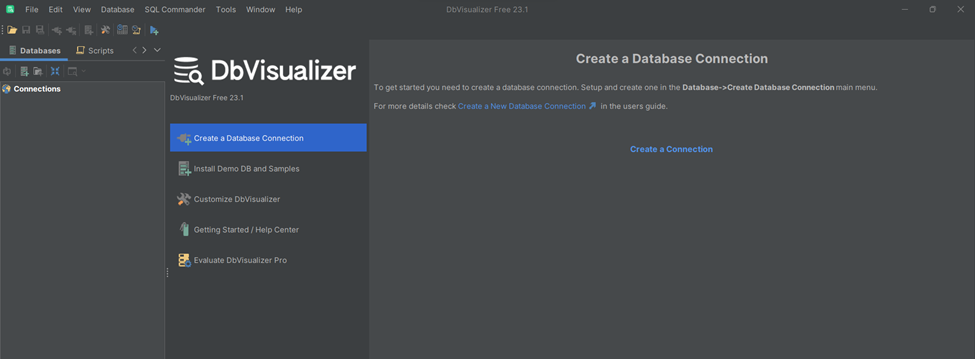 Successfully installed DbVisualizer.