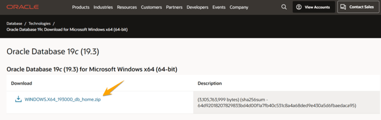 A Comprehensive Guide to Data Types in Oracle