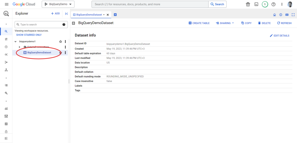 The created dataset in Google BigQuery.