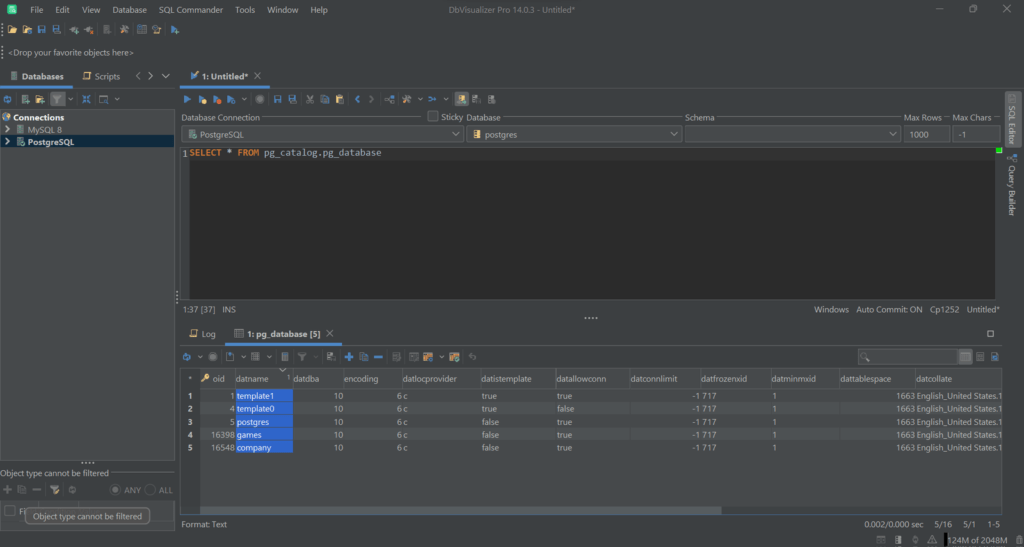 Executing the query in DbVisualizer.