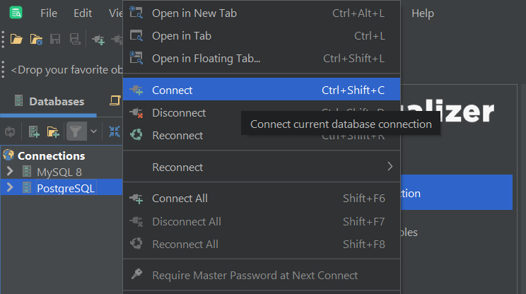 Connecting to a new database in DbVisualizer