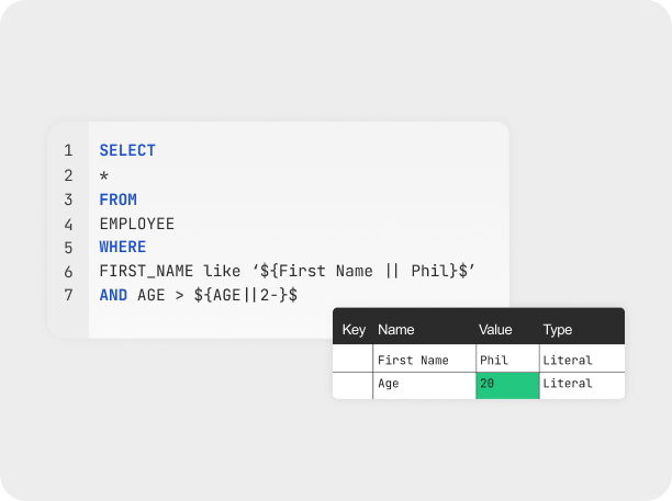 DbVisualizer variables