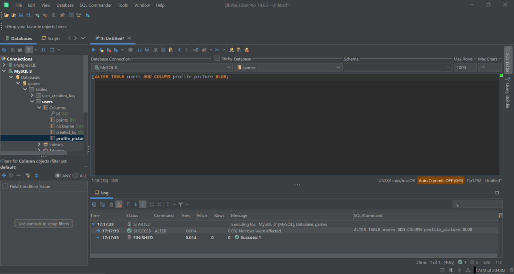 Launching the query to add a BLOB column in DbVisualizer.