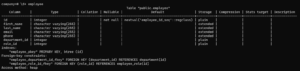 How to Describe a Table in PostgreSQL: A Comprehensive Guide