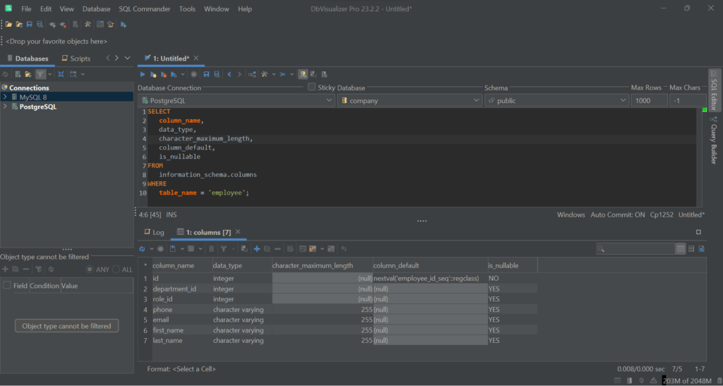 Running the query in DbVisualizer.