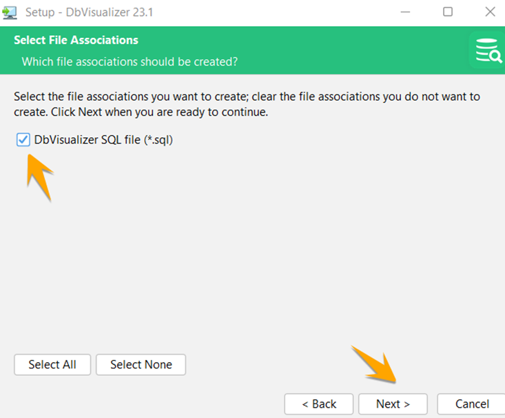 Select whether you want to associate .sql file types with DbVisualizer.