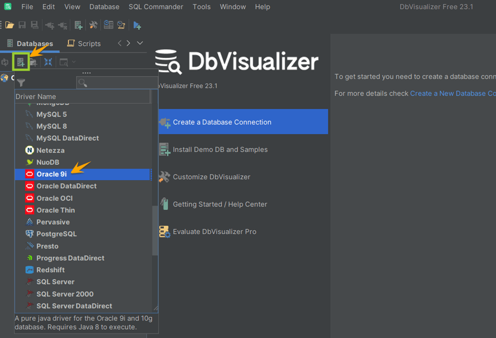 Create a new connection with the Oracle database using DbVisualizer.