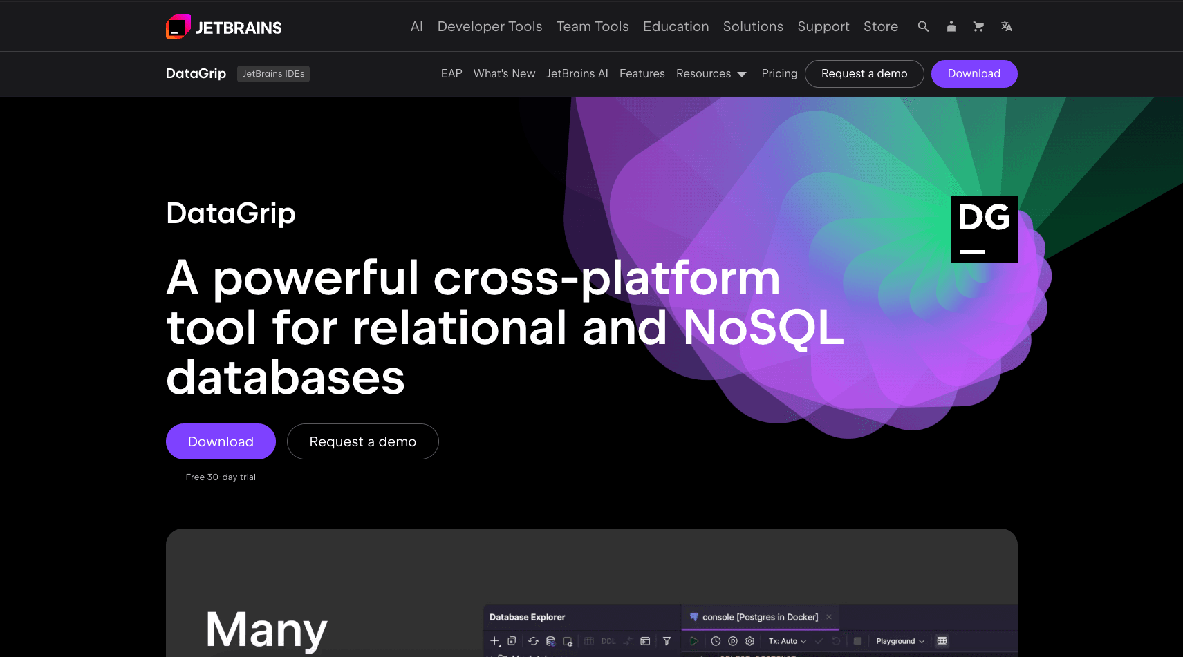 JetBrains DataGrip