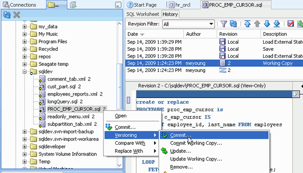 Source code control in Oracle SQL Developer.