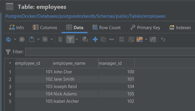 Employees Table in DbVisualizer