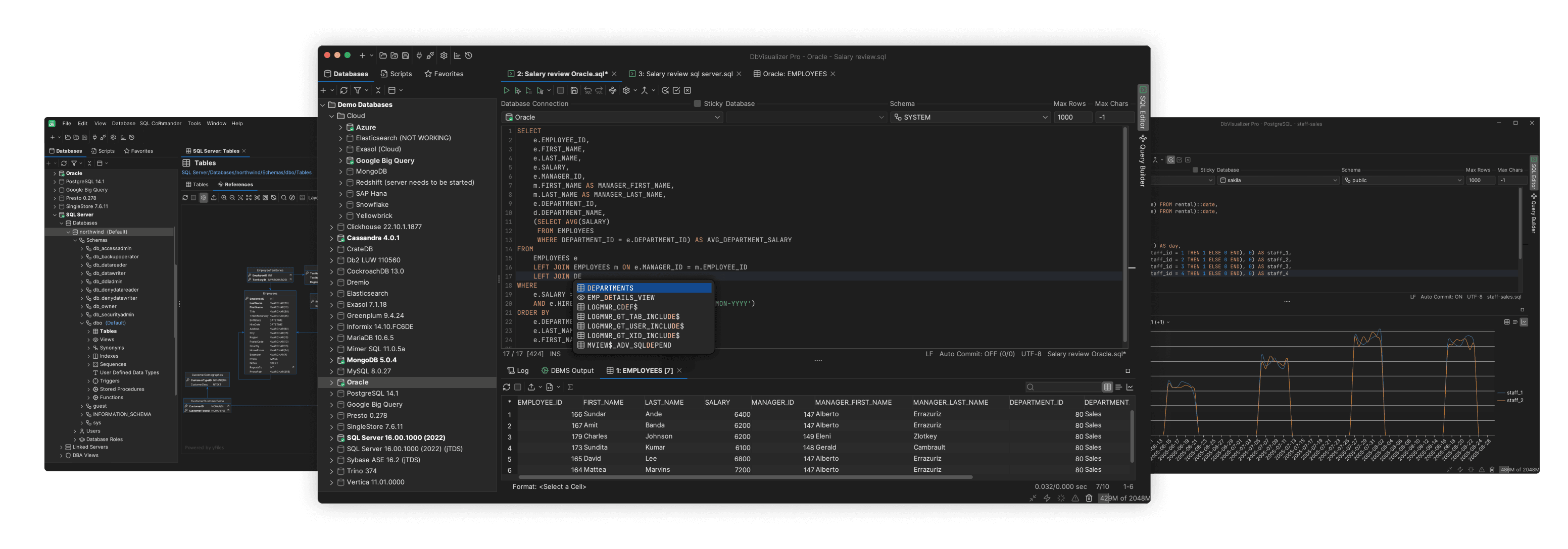 DbVisualizer, a popular database client