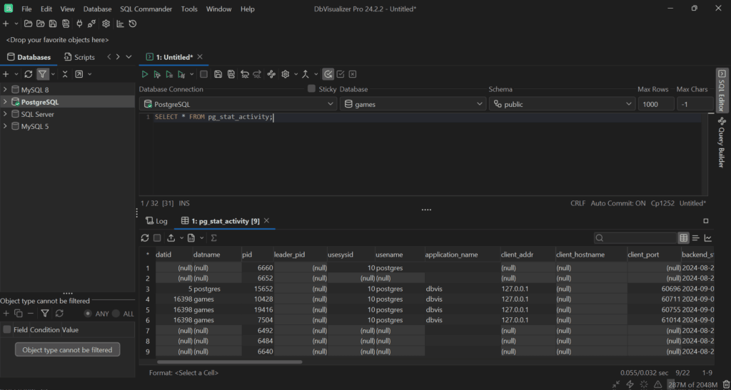 Retrieving all PostgreSQL backend process info in DbVisualizer