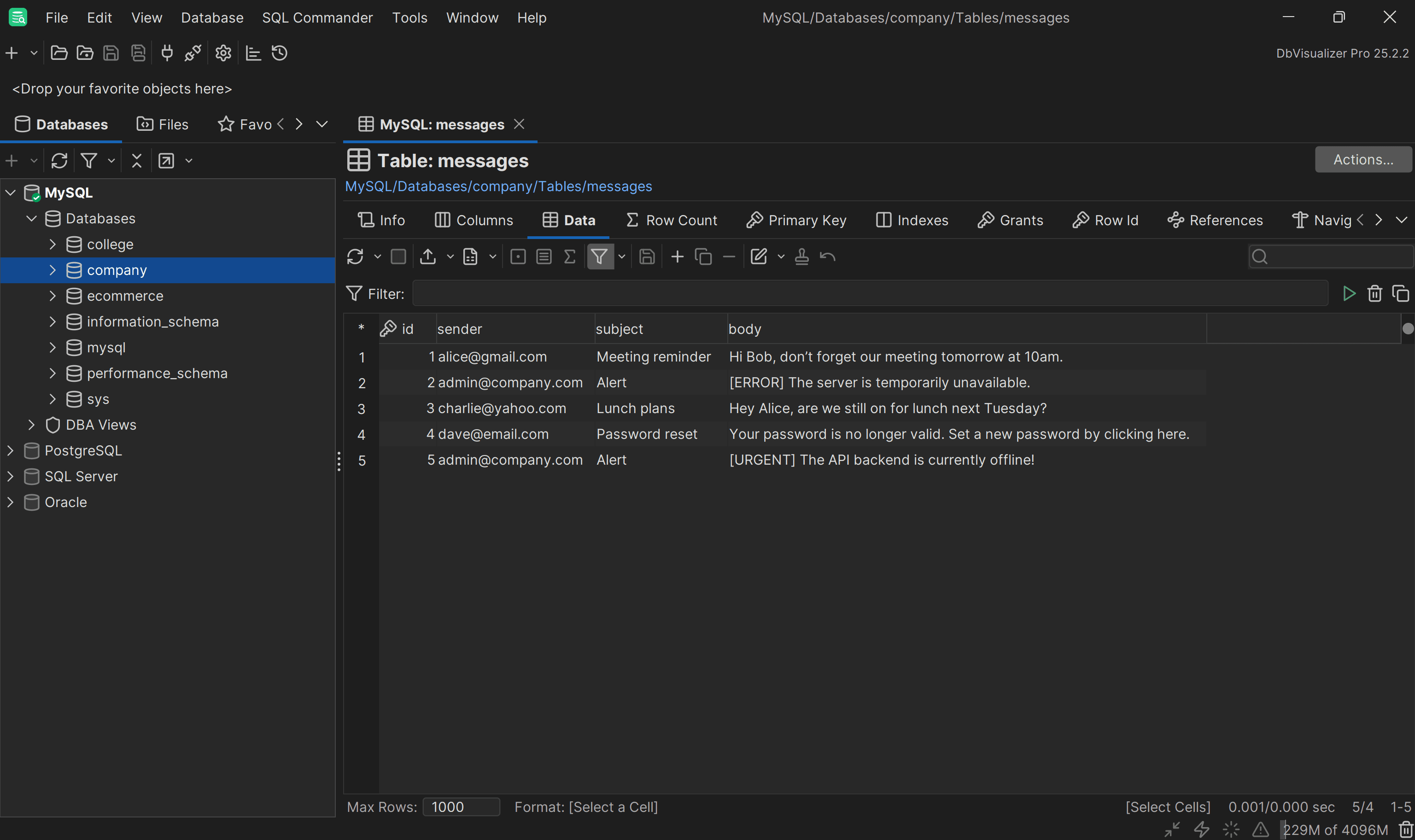 Visually exploring the messages records in DbVisualizer