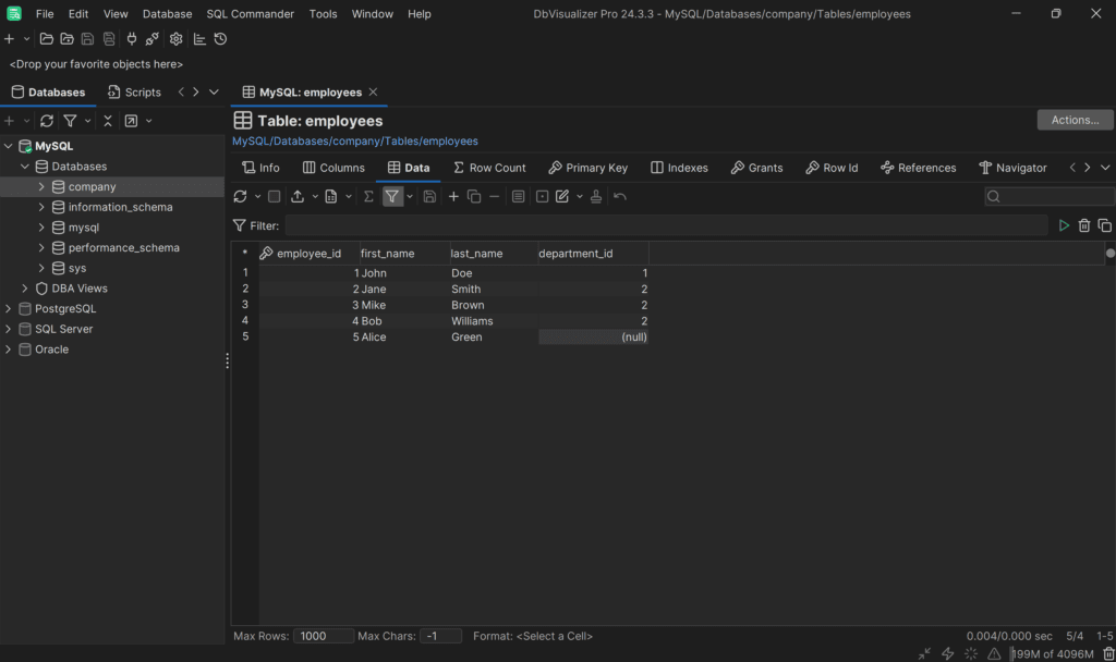 The data in the employees table in DbVisualizer