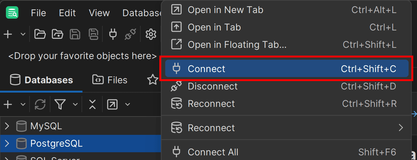 Connecting to the PostgreSQL database
