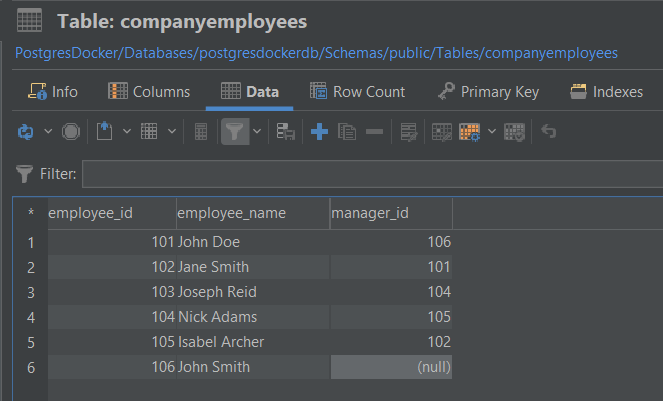 The Company Employees Table in DbVisualizer.